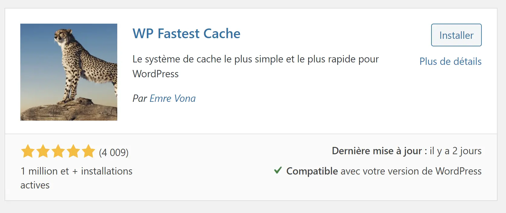 plugin de cache