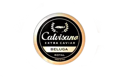 logo-calvisano-beluga